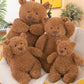 New Teddy Bear Plush Toy Furnishings Birthday Gift Stuffed Bear Doll Tide Play Toys