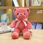 30Cm 16 Styles Bear Plush Toy Soft Stuffed Animal Doll Small Pink Gray White Teddy Bear Doll Lovely Birthday Gifts for Girl Boy