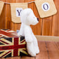 White Cozy Teddy Bear 35cm – Soft Plush Toy