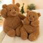 New Teddy Bear Plush Toy Furnishings Birthday Gift Stuffed Bear Doll Tide Play Toys