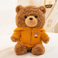Hoodie Teddy Bear – Stuffed Plush Doll with Cozy Sweatshirt