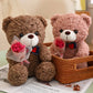 Valentine Teddy Bear 25cm – Valentine’s Day Gift with Bouquet