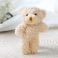 Small Teddy Bear Keychain 12cm – Cute Plush Accessory