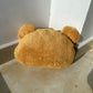 Teddy Bear Hand Warmer Cushion – Soft Plush Cartoon Pillow for Cozy Rooms & Gifts